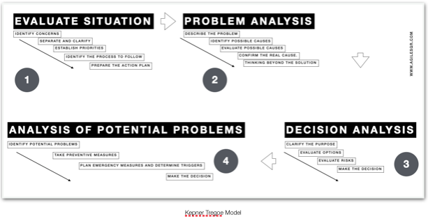 Decision-Making in the New Normal by Pierre Neis